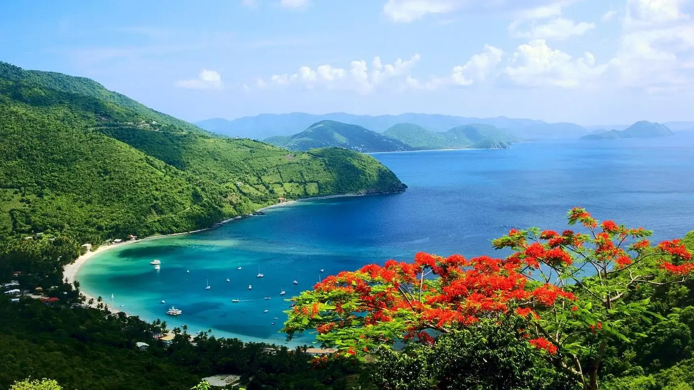 高质量智能可靠性